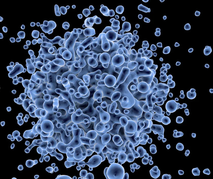 Stem Cell Assisted Reconstruction, Elegance Clinic Surat